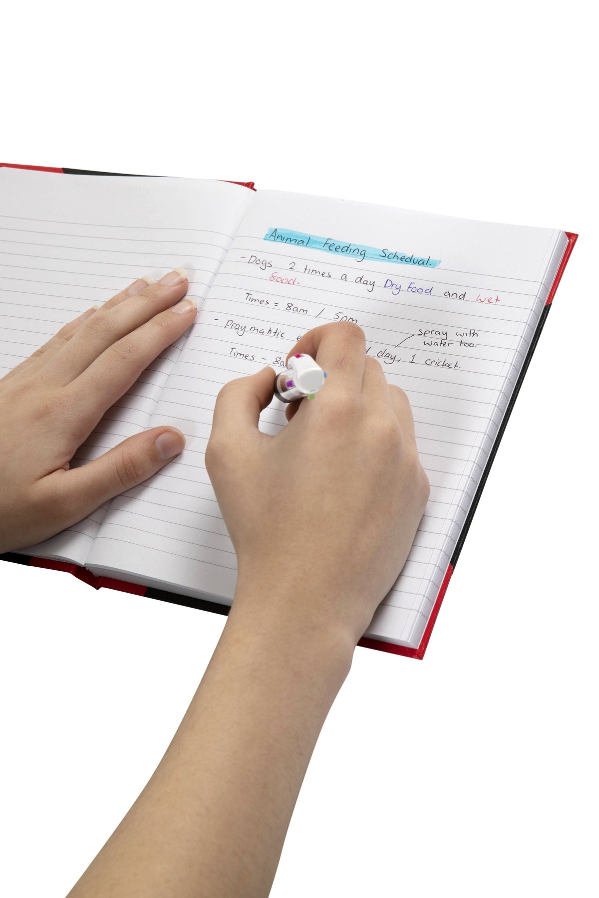 Hand writing a feeding schedule list on the ruled page of an open Spirax black and red casebound A5 notebook, with a red cover edge visible