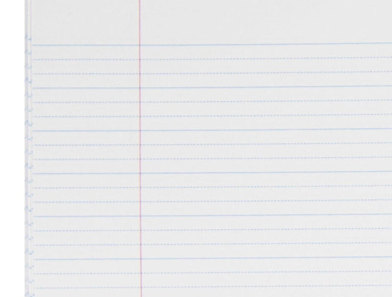 Close-up of the page ruling in the Spirax 101, cropped from the ACCO interior photo: solid blue lines with two dotted blue lines between each pair, beside a red margin