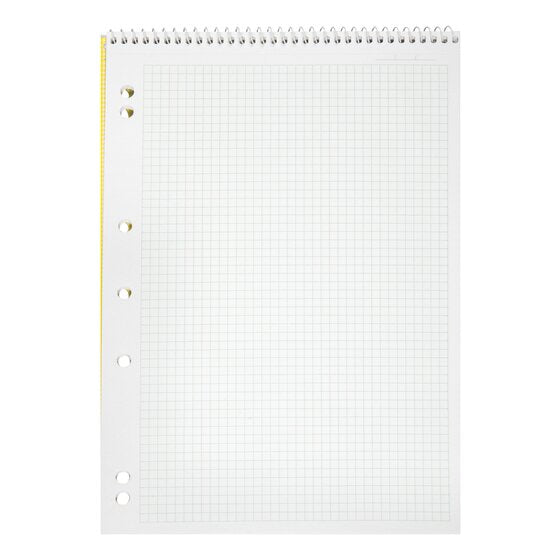 Spirax A4 graph pad opened to a full page of 5mm grid under the top spiral, with seven punched holes down the left side