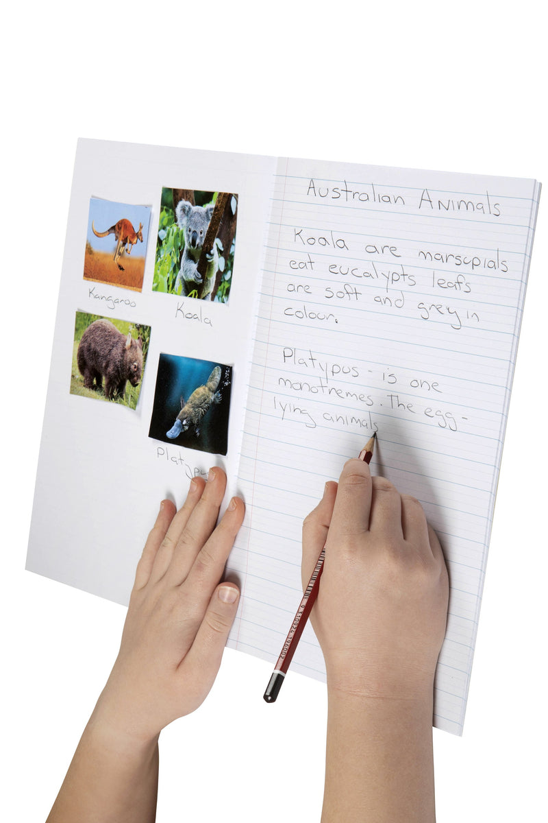 Child writing about Australian animals on the dotted thirds page of a Spirax 141 project book, with animal photos pasted on the blank page opposite