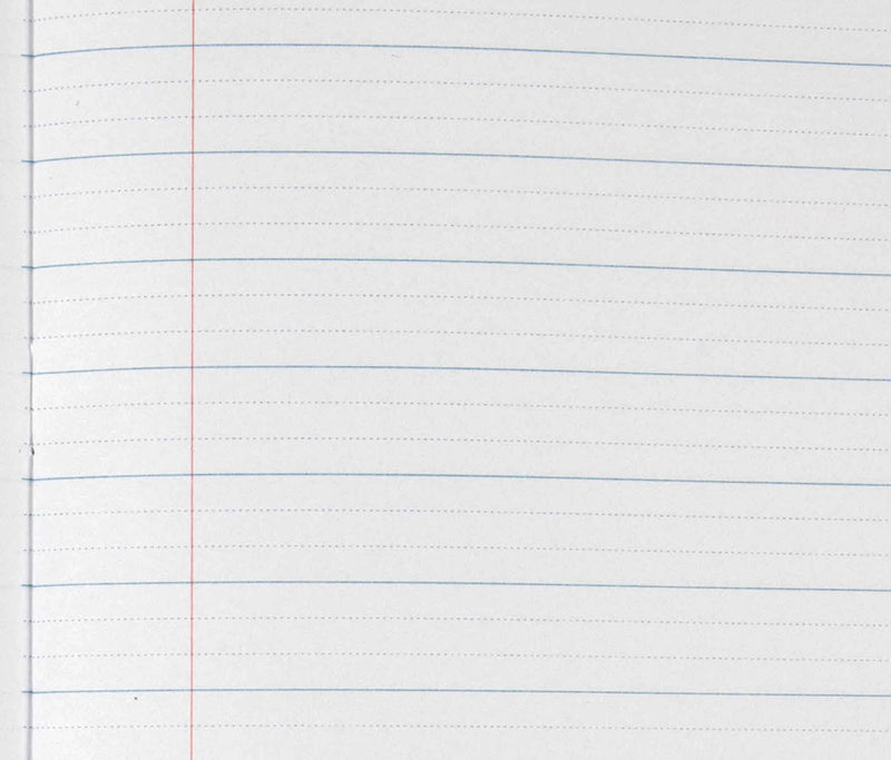 Close-up of the page ruling in the Spirax 141 project book: solid blue lines 14mm apart with two dotted guide lines between each pair, and a red margin line