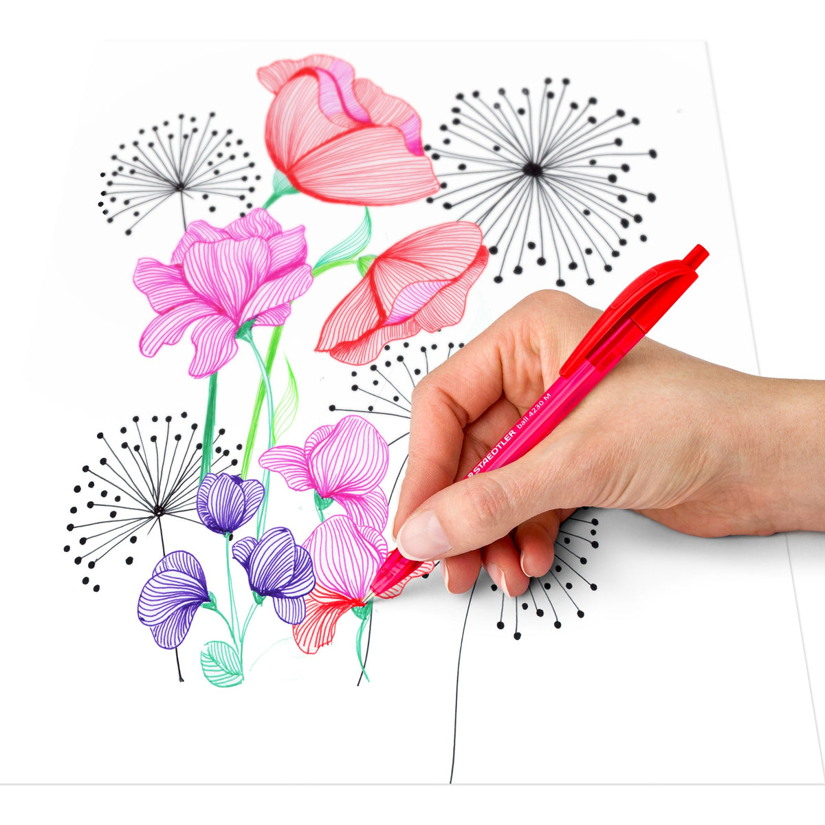 Hand holding a red Staedtler ball 4230 pen drawing line-art flowers in red, pink and purple beside black dandelion heads