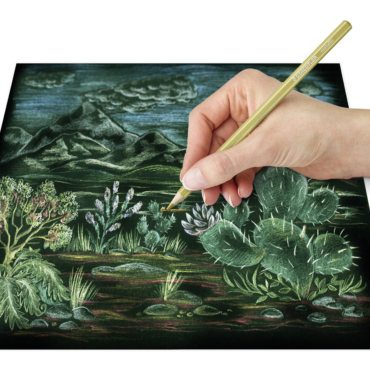 Hand adding gold metallic highlights to cacti and flowers drawn on dark paper with a Staedtler 146M pencil