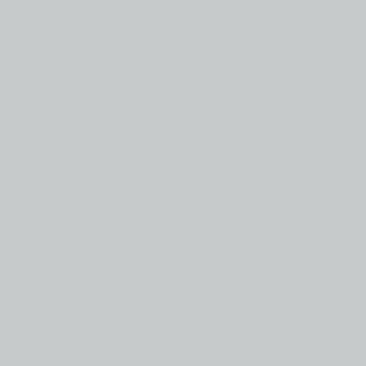 Flat colour square for FIMO soft 80 dolphin grey, a cool light grey