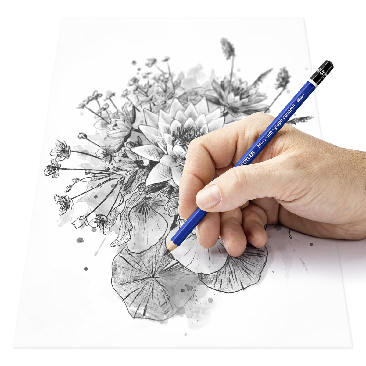 Hand sketching flowers in graphite with a Mars Lumograph aquarell pencil, some areas washed into grey