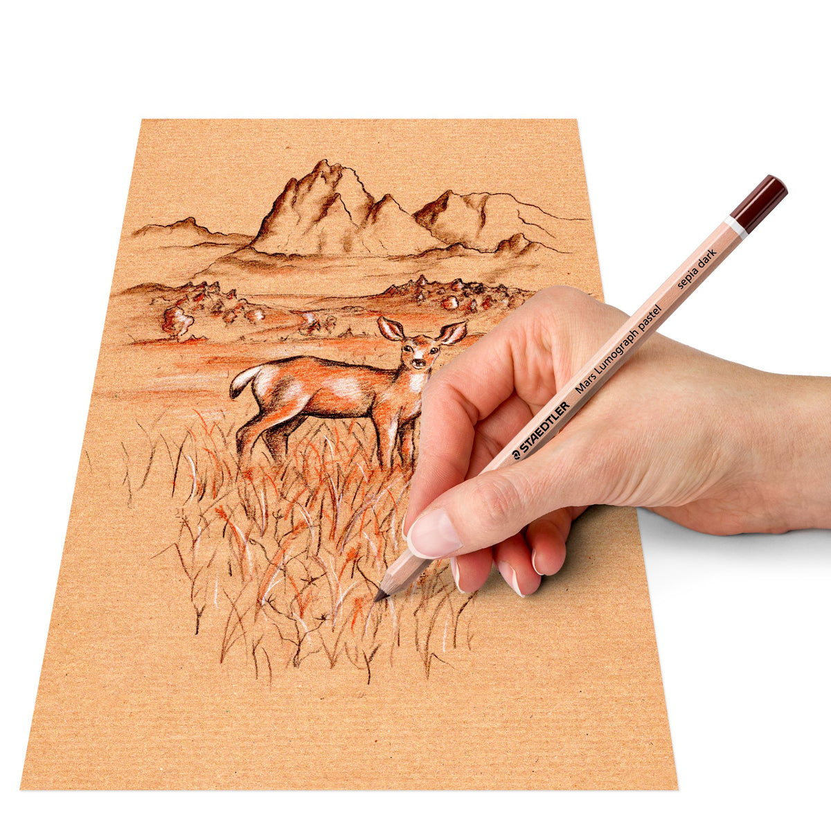 Hand drawing a deer in a grassy landscape with a sepia pastel pencil on brown paper