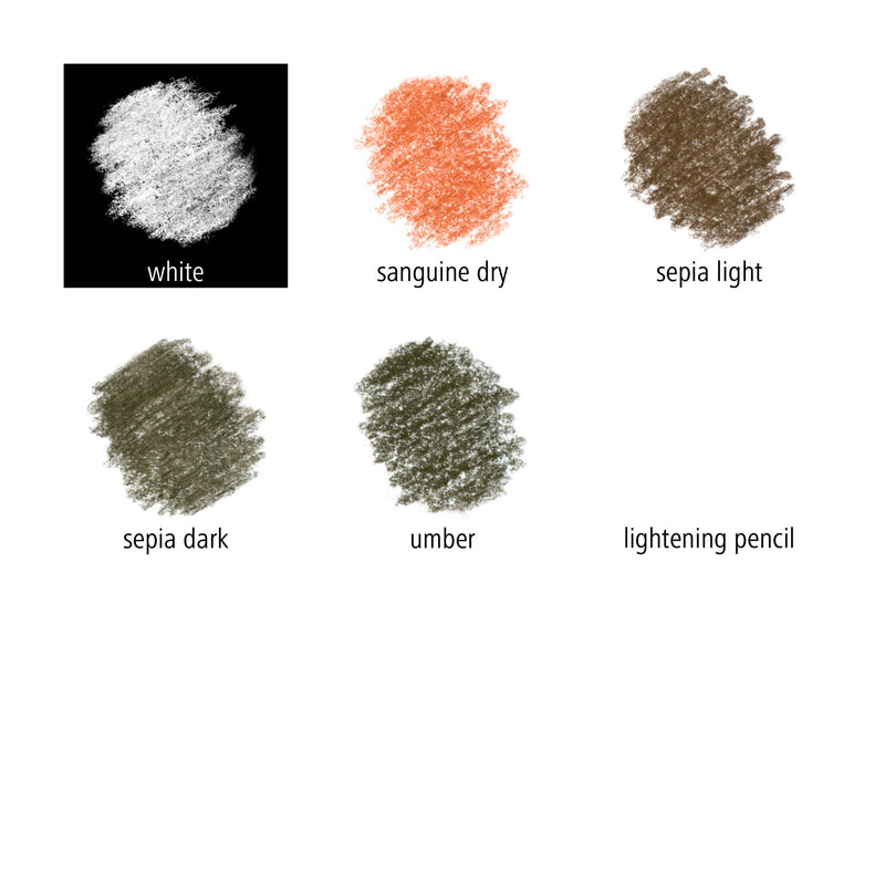 Staedtler colour chart for the card: white, sanguine dry, sepia light, sepia dark, umber and lightening pencil swatches