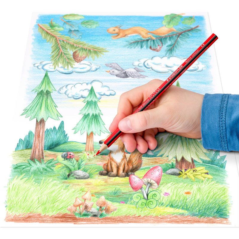 Child colouring a forest scene with a squirrel using a Staedtler triangular pencil; Staedtler range photo of the 187 pencil