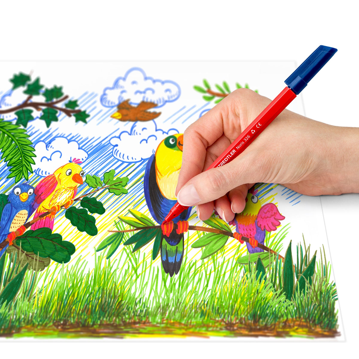 Hand colouring a toucan and parrots in a jungle scene with a red Staedtler Noris 326 fibre-tip pen