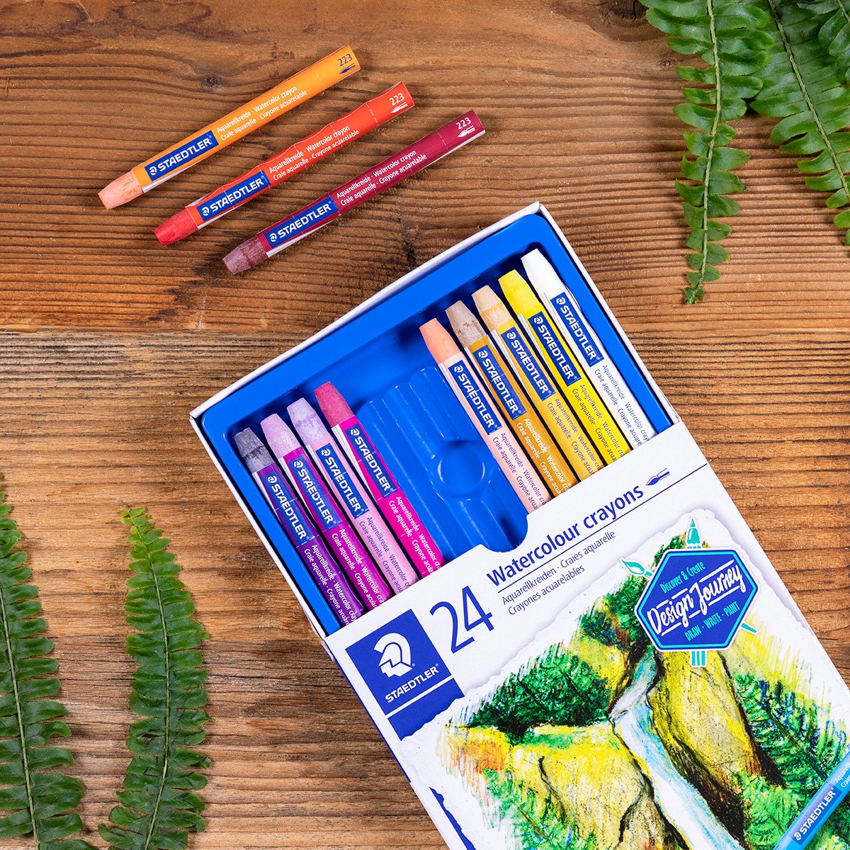 Staedtler photo of the open 24 box with three crayons and their colour swatches on card, on a wooden table with ferns