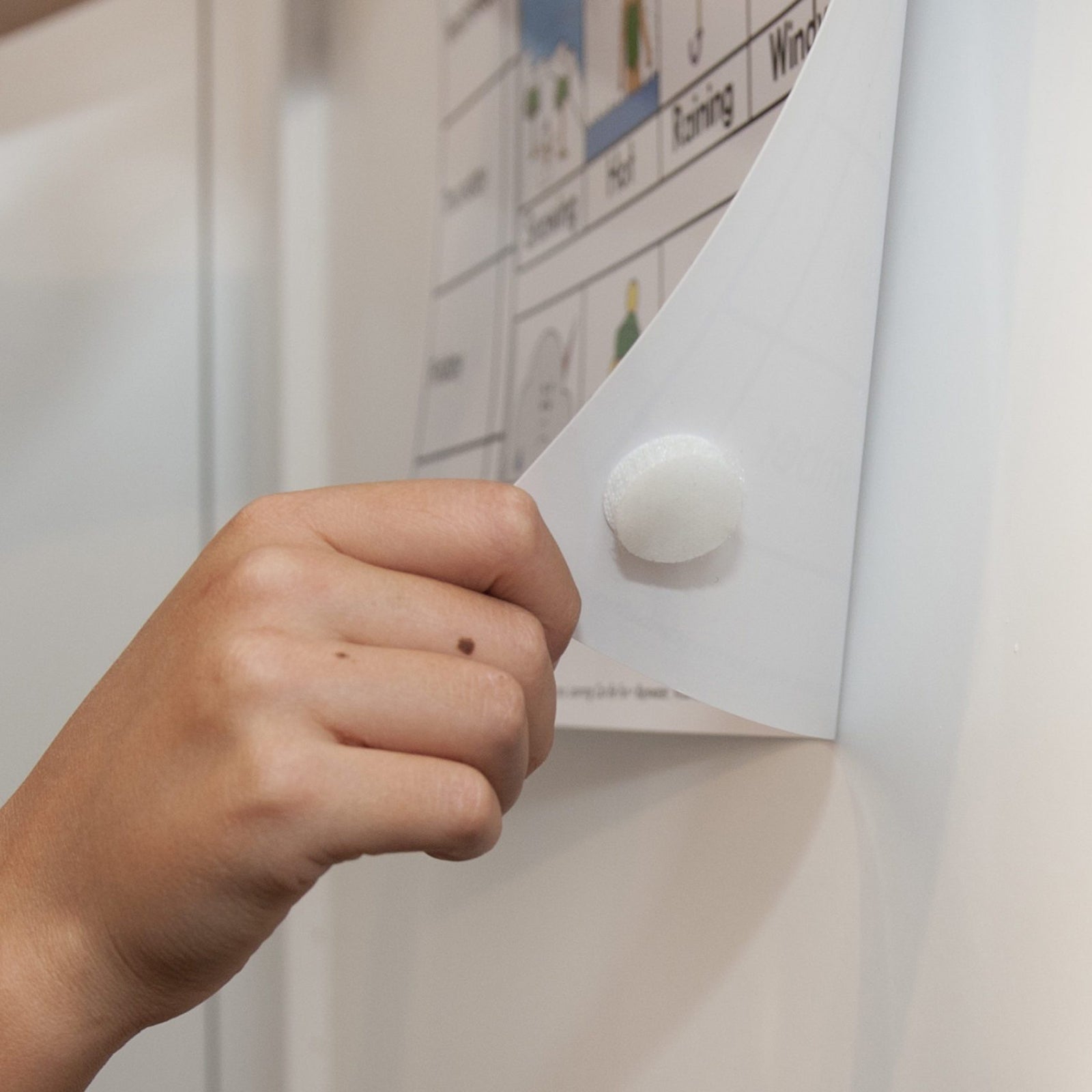Close up image showing a hand removing a sheet attached to a white surface using a white VELCRO Brand hook and loop dot, demonstrating easy peel away functionality for everyday office and home organisation.