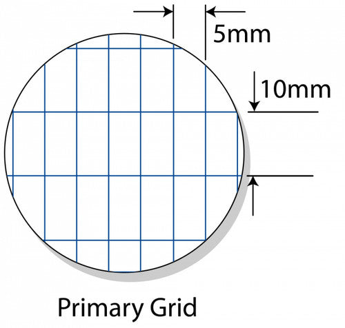 Writer Premium Primary Grid Book A4 48 Page 10x5mm Paint Brush Cover Pack 20 — bulk pack of 20