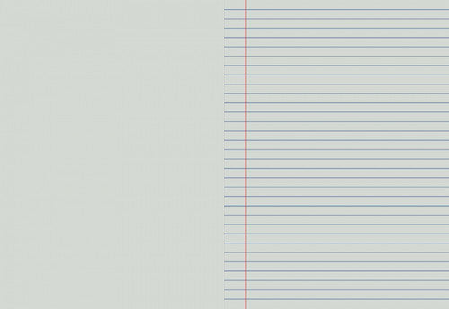Writer Premium Playbook 330x240mm 64 Page Plain Plus 10mm Solid Ruled Pack 10 — open pages showing plain and ruled sections