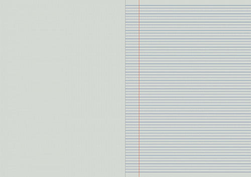 Writer Premium Project Book A4 96 Page Plain Plus 14mm Dotted Thirds Red Margin Cake Cover Pack 10 — open pages