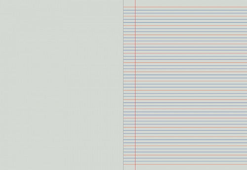 Writer Premium Workbook 330x245mm 64 Page Plain Plus QLD Year 2 Ruled Prawn Cover Pack 10 — bulk pack of 10