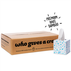 Who Gives A Crap Bamboo Facial Tissues 3-ply 65 sheets per box carton of 12 front pack shot on white background