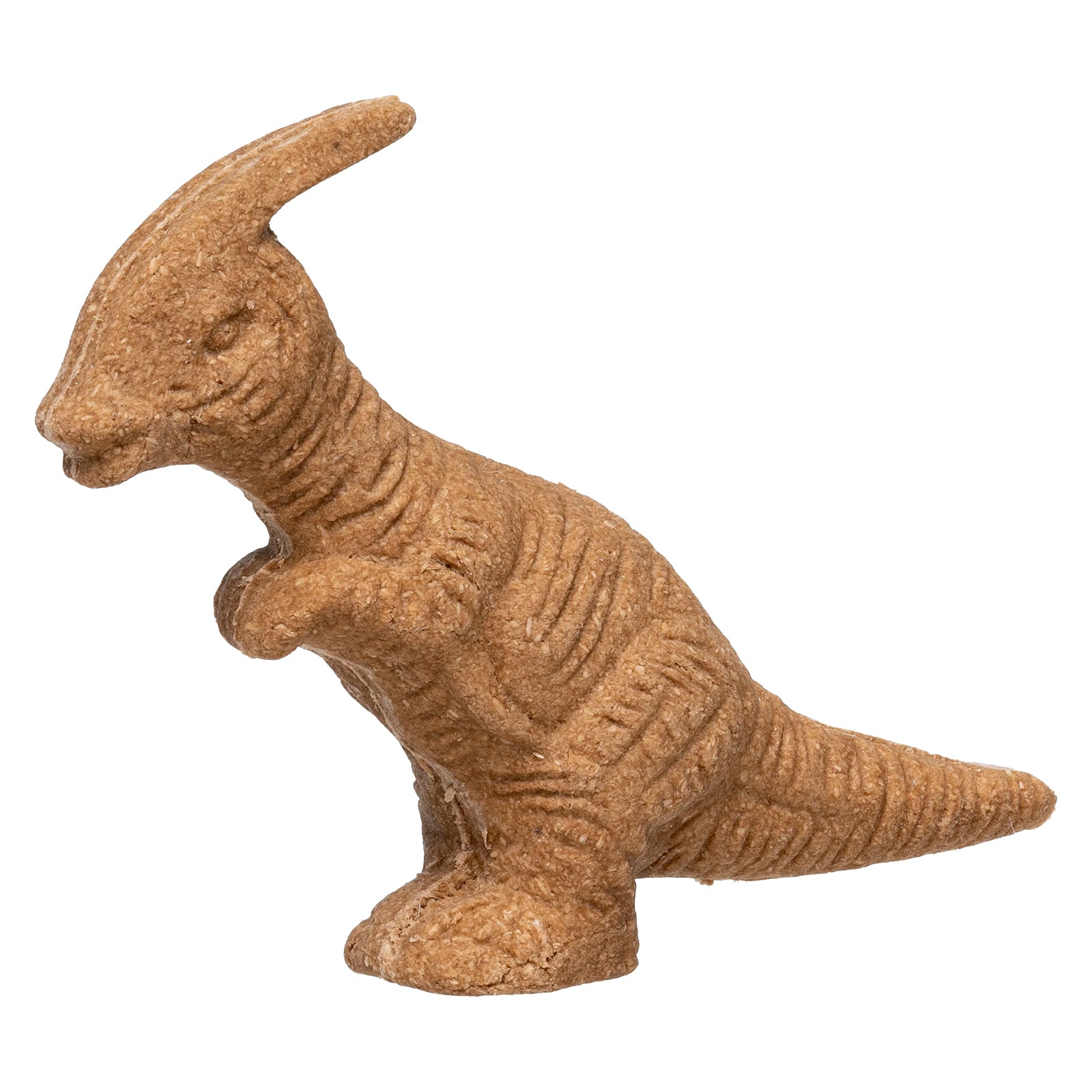 Close up of a dinosaur sculpture made using Medium Brown Wooden Clay. The detailed surface texture and realistic earthy colouring demonstrate the flexibility and fine sculpting capabilities of the wood fibre clay.