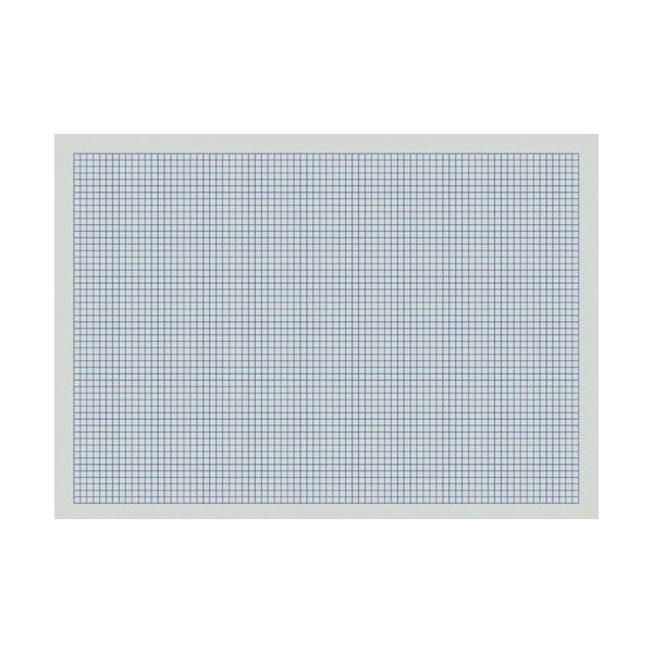 Landscape sheet of Writer 5mm graph paper with a fine blue grid across the page inside a border