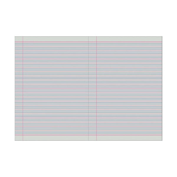 Writer Premium EB6534 opened flat to show two pages of Queensland Year 3 and 4 ruling with a red margin line on each side