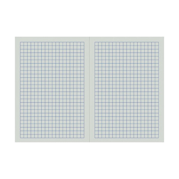 Open Writer Premium EB6523 graph book showing two pages printed with a 10mm square grid
