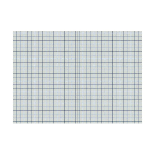 Writer 10mm grid student notebook opened flat, showing a blue square grid across both pages
