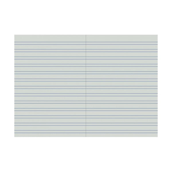 Two open pages of the Writer 6mm double ruled notebook with pairs of blue lines on a grey tone