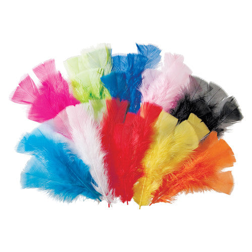 Zart Assorted Feathers 60g pack containing approximately 240 feathers in 10 bright colours each 15cm long