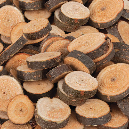 Zart Branch Cuts Circles 330g. Close-up of Zart natural wood branch cut circles for craft and mixed media projects.