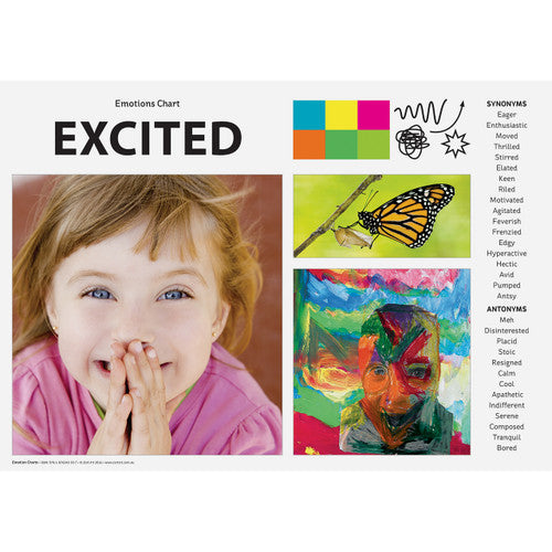 Zart A3 Emotion Art and Language Charts set laid out showing individual emotion cards including happiness, anger, and fear