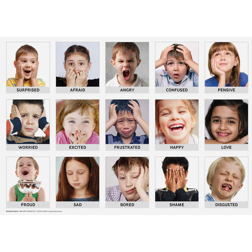 Close-up of a single Zart A3 emotion chart with descriptive text and imagery representing a specific emotion