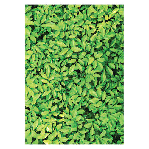 Close-up of Zart autumn leaves foliage design on 80 gsm glossy A4 paper
