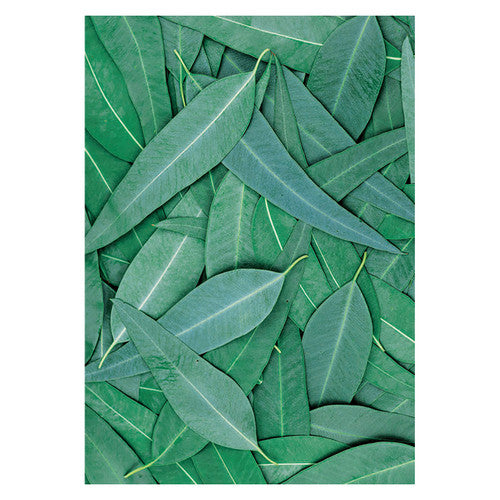 Zart banana leaf close-up design printed on glossy single-sided A4 paper