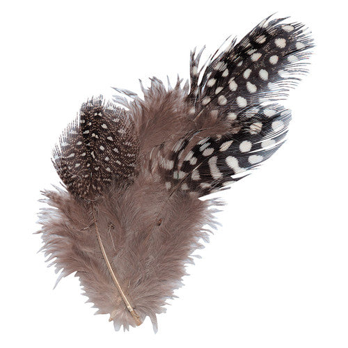 Zart Guinea Fowl natural feathers in assorted sizes and spotted patterns, approximately 100 feathers in a 10g pack