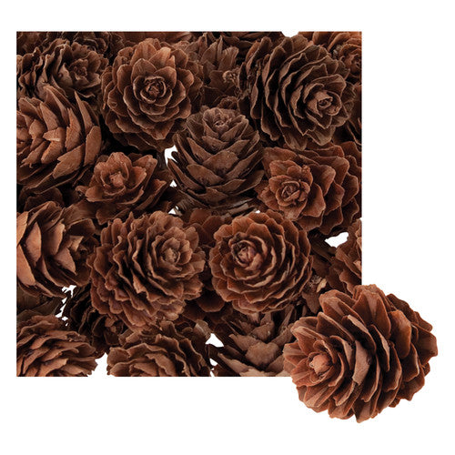 Zart Mini Pine Cones 190g. Zart mini pine cones in a 190g bag, natural miniature pine cones approximately 2cm to 4cm in size.