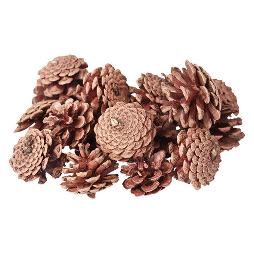 Zart natural pine cones 200g pack, sizes ranging from 4cm to 6cm, suitable for craft and decorating