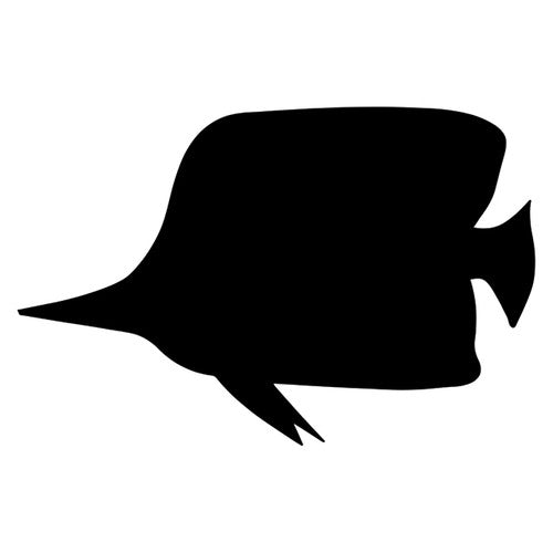 All 24 Zart fish shapes laid out flat showing variety of designs