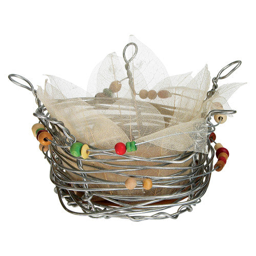 Pack of 100 Zart natural skeleton leaves spread out displaying variation in shape and colour
