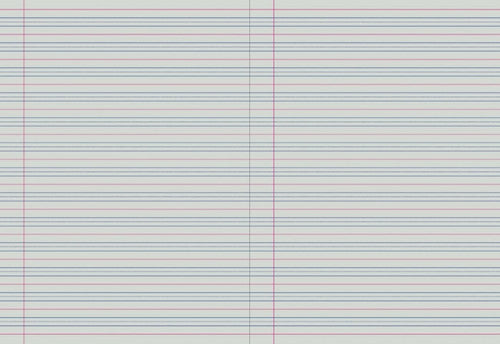 Writer Premium Wonder Writer A4 64 Page QLD Year 1 Ruled 80gsm Mega Student Notebook Pack 10 — bulk pack of 10