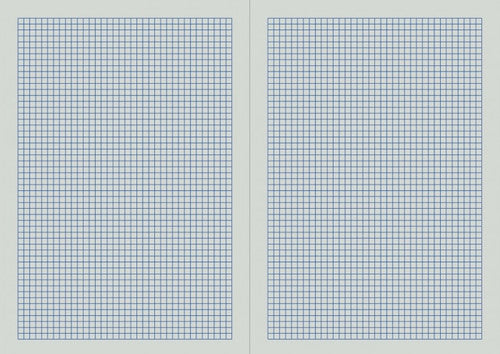 Writer Premium Graph Book A4 96 Page 5mm Hammer Cover Pack 10 — open pages showing 5mm graph ruling