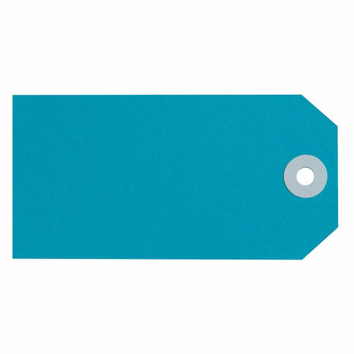 Avery Shipping Tag Size 4 108 x 54mm Blue Box 50