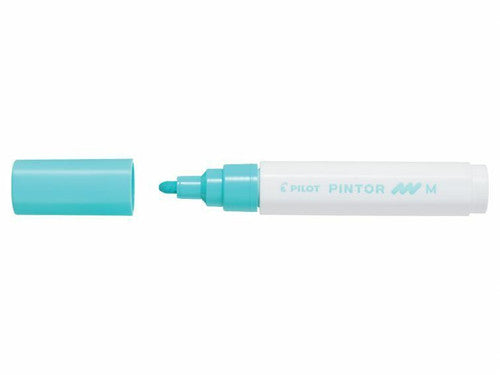 Pilot Pintor Paint Marker Medium Tip Pastel Green