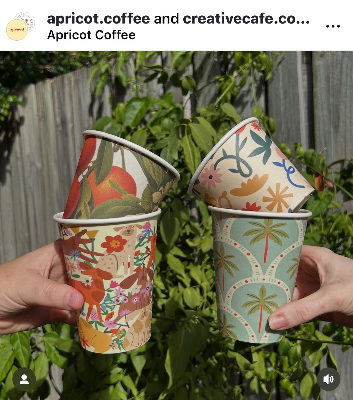 Creative Cafe Co 12oz Dogs & Palms coffee cup apricot latte
