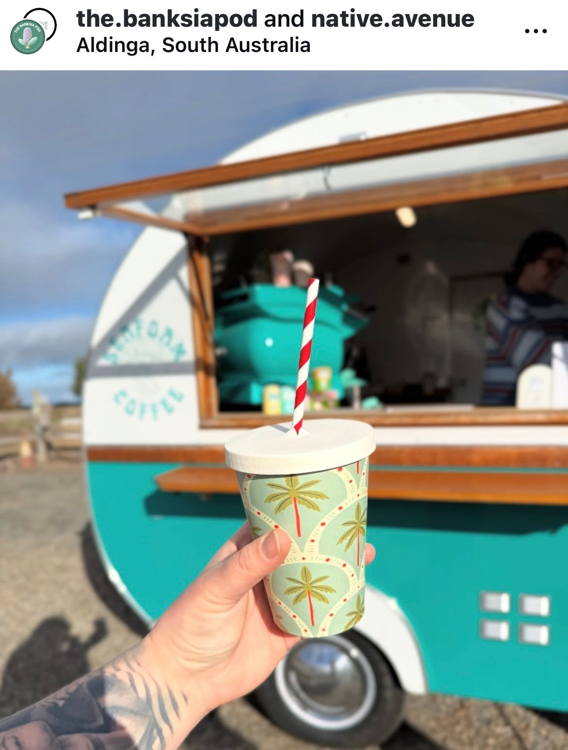 Creative Cafe Co 12oz Dogs & Palms iced latte cold drink