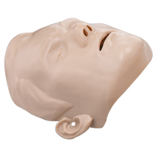 Brayden Manikin Face Skin Adult
