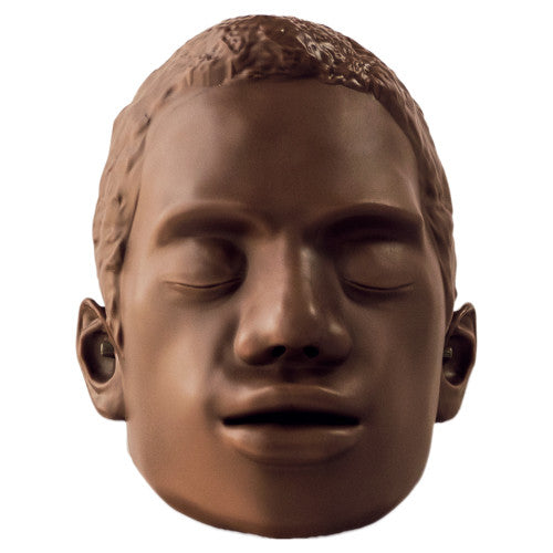 Brayden OBI Conversion Kit