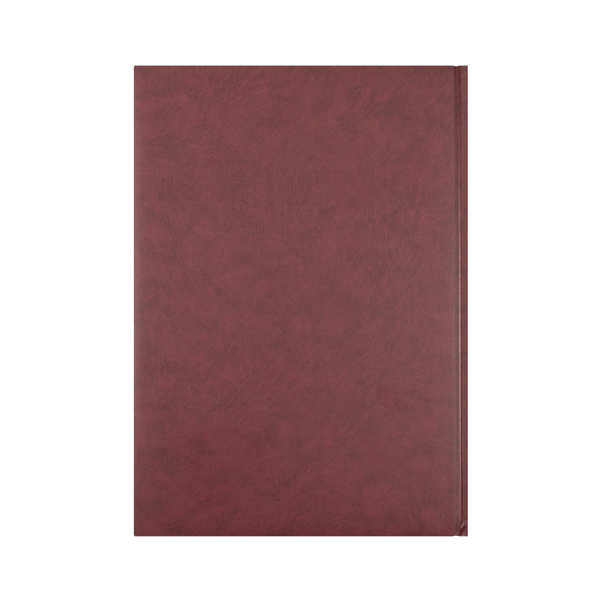 Collins Appointment 2027 A4 Day to Page Burgundy interior layout