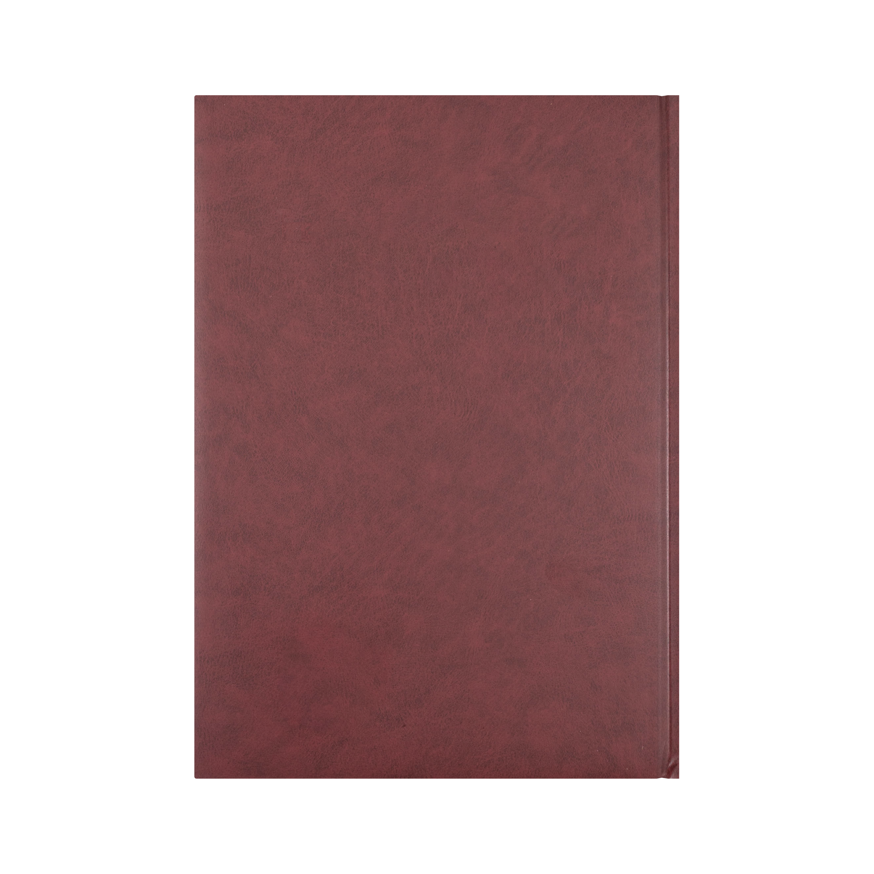 Collins Appointment 2027 A4 Day to Page Burgundy interior layout