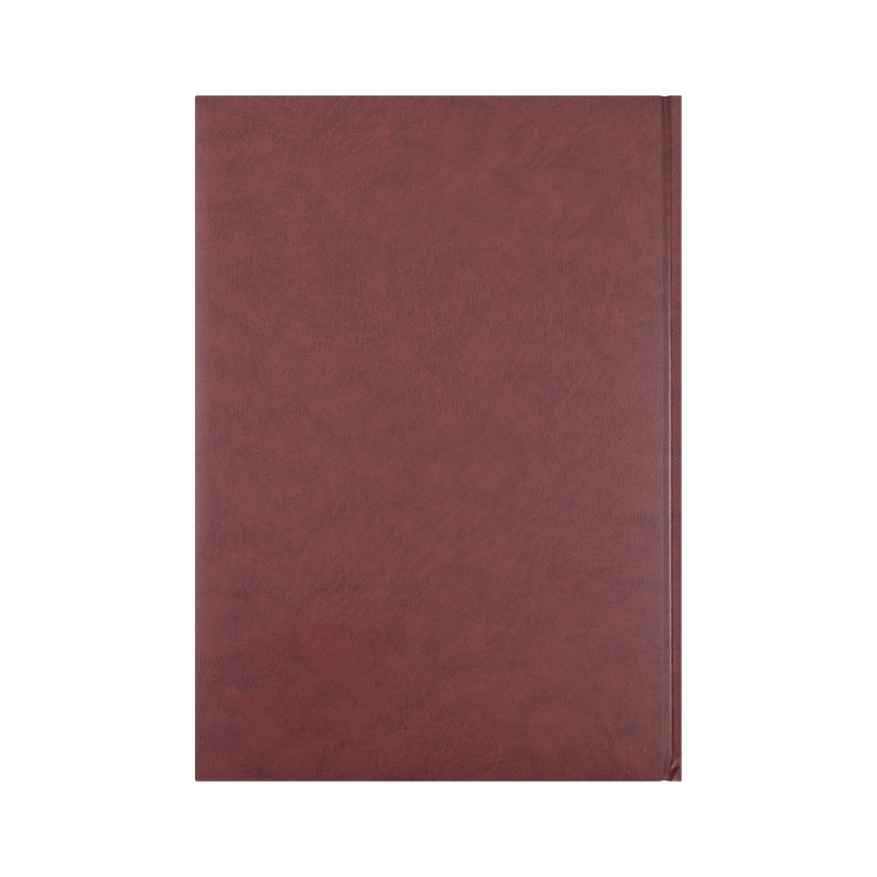 Collins Appointment 2027 A4 Day to Page Burgundy interior layout