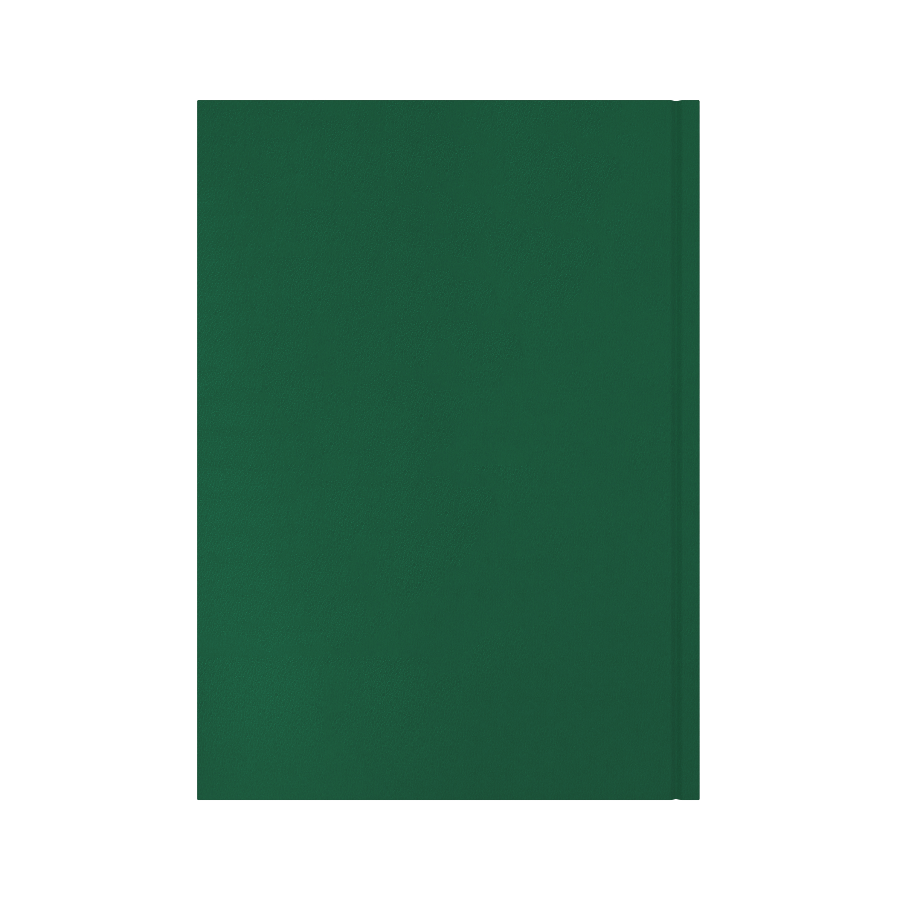 Collins Essential 2027 A4 day to a page diary green cover and spine detail