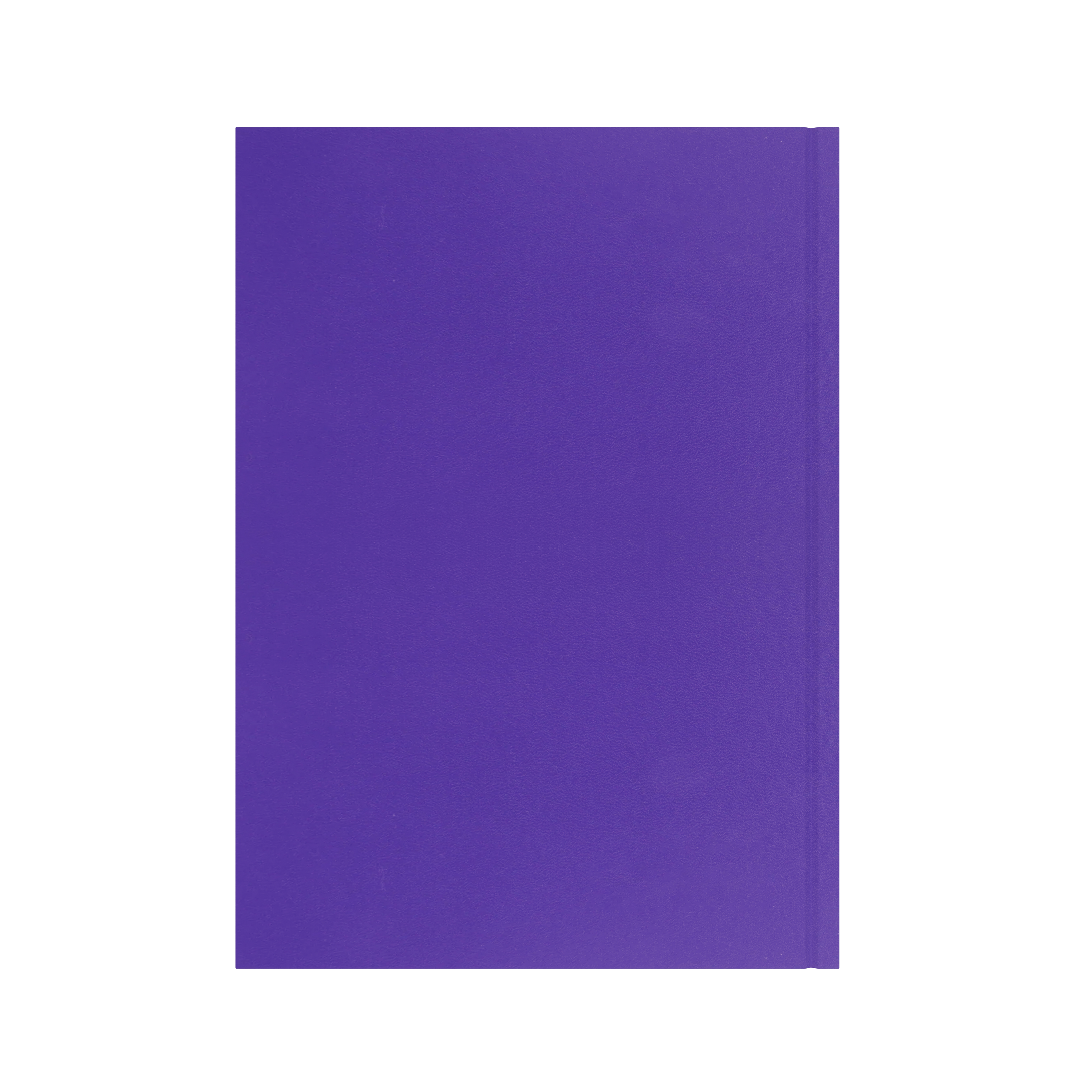 Collins Essential 2027 A4 week to view diary purple cover and spine detail